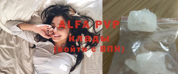 PSILOCYBIN Алзамай