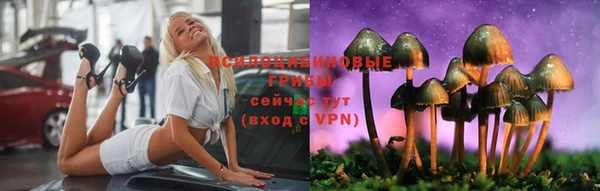 PSILOCYBIN Алзамай
