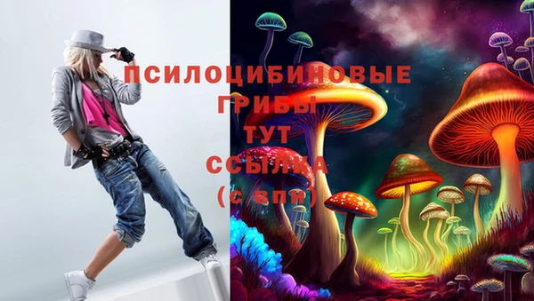 тгк Алексеевка