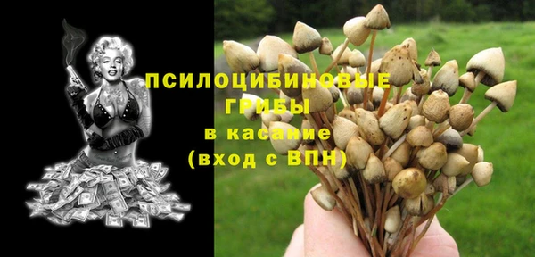 тгк Алексеевка